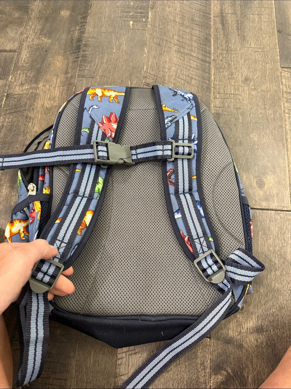 Pottery barn backpack